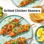 icken spiedini pin image 4.